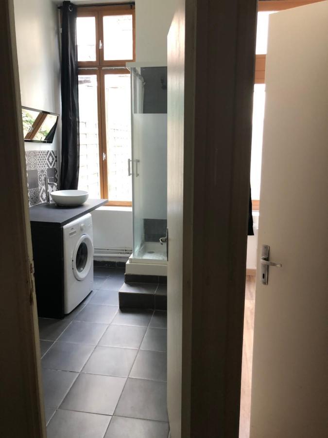 Appartement Et Son Jardin A Lille Fac De Droit エクステリア 写真